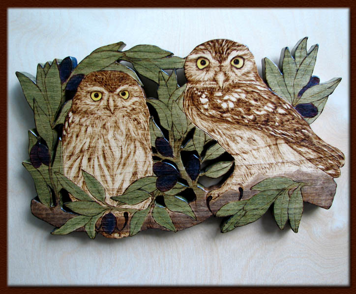 Athene noctua little owl pyrography tanja sova